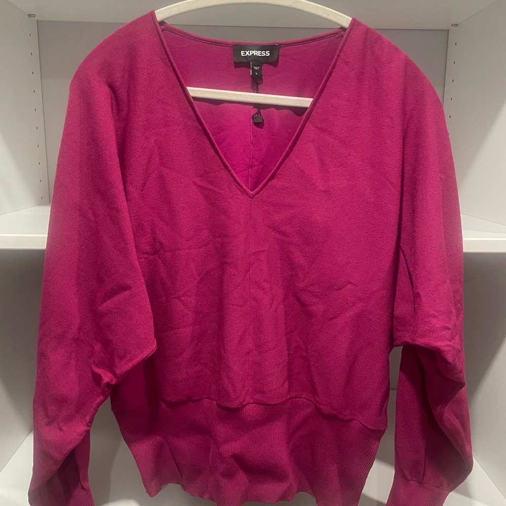 Express Women's Fuchsia V-Neck Sweater